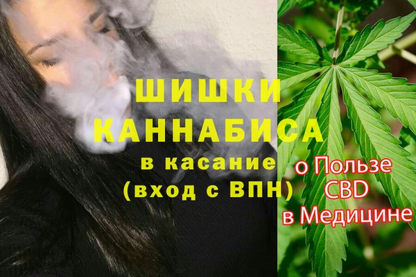 индика Абинск