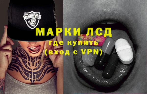 индика Абинск