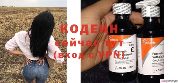 индика Абинск