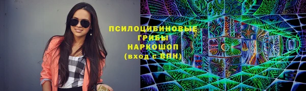 сатива Абдулино